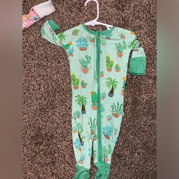 succulent sleepie - Picture 1 of 2